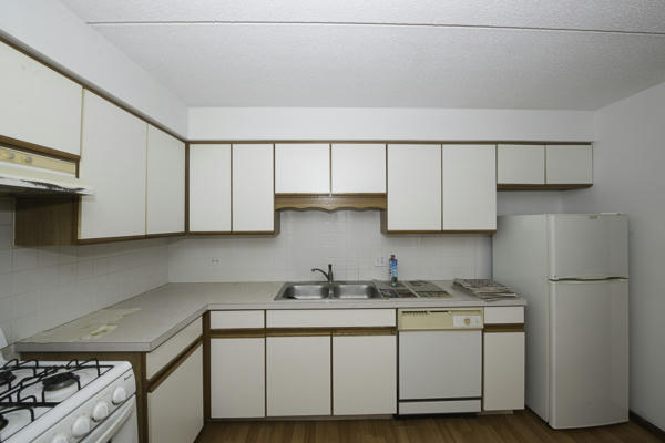 6540 W IRVING PARK RD APT 309, CHICAGO, IL 60634, photo 5 of 18