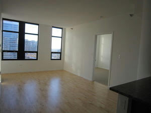 1255 S STATE ST UNIT 1409, CHICAGO, IL 60605, photo 3 of 9