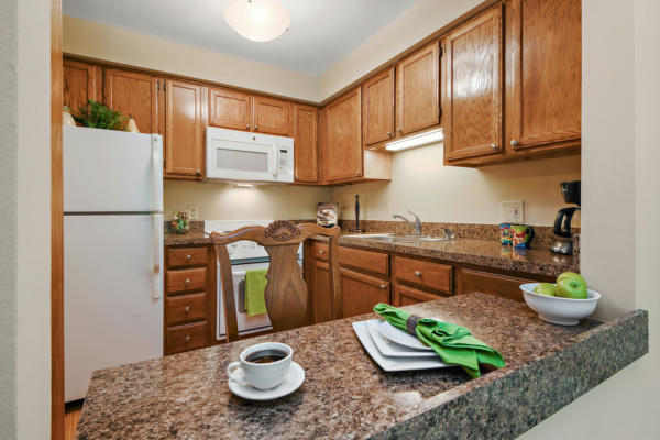 10300 VILLAGE CIRCLE DR UNIT 4407, PALOS PARK, IL 60464, photo 5 of 25