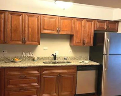 10735 5TH AVE CUT OFF APT 103, COUNTRYSIDE, IL 60525, photo 3 of 7