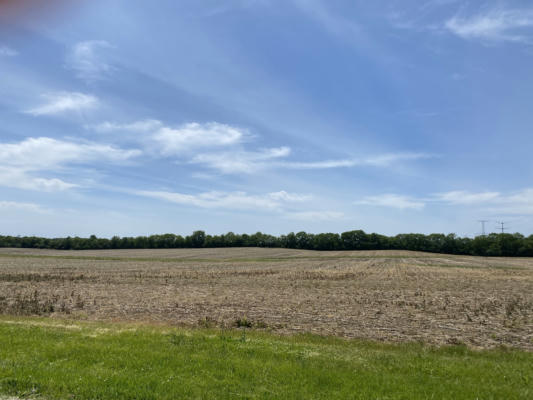 NORTH OF ROUTE 80 N ELM STREET, NEW LENOX, IL 60451 - Image 1