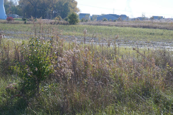 LOT7 AND LOT8 US RTE 6 ROAD, CHANNAHON, IL 60410, photo 2 of 4