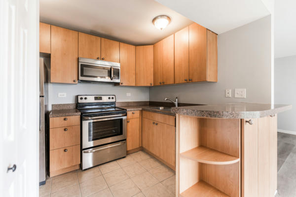 10115 OLD ORCHARD CT UNIT 101, SKOKIE, IL 60076, photo 5 of 16