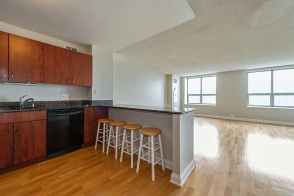 474 N LAKE SHORE DR APT 5701, CHICAGO, IL 60611, photo 4 of 20