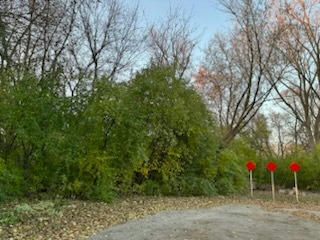 LOT 5 MC DONALD AVENUE, WEST CHICAGO, IL 60185, photo 3 of 5