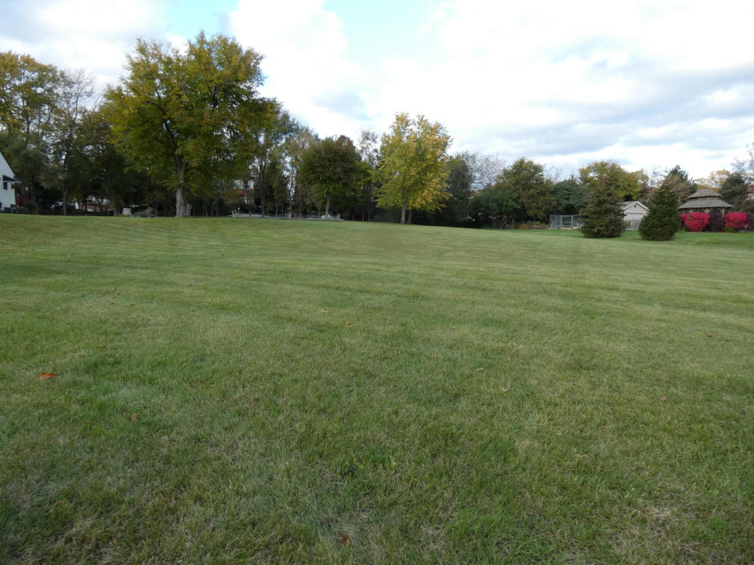 LOT 2 ARGYLE AVENUE, ROSELLE, IL 60172, photo 1 of 2