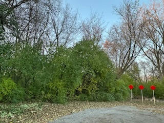 LOT 3 MC DONALD AVENUE, WEST CHICAGO, IL 60185, photo 4 of 5