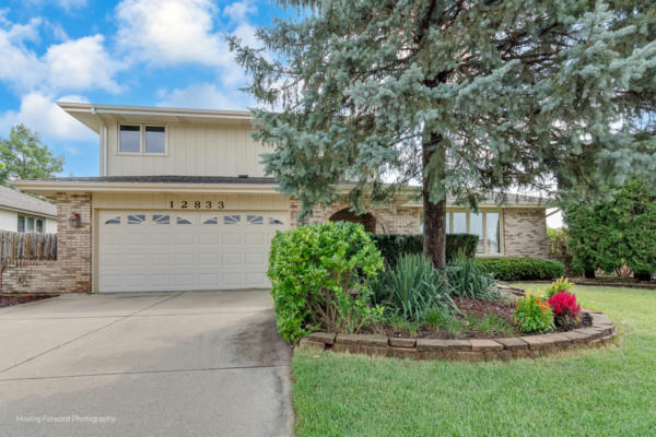 12833 S MILL RD, PALOS PARK, IL 60464 - Image 1