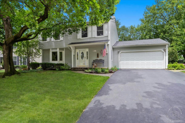 313 CARRIAGE HILL RD, NAPERVILLE, IL 60565 - Image 1