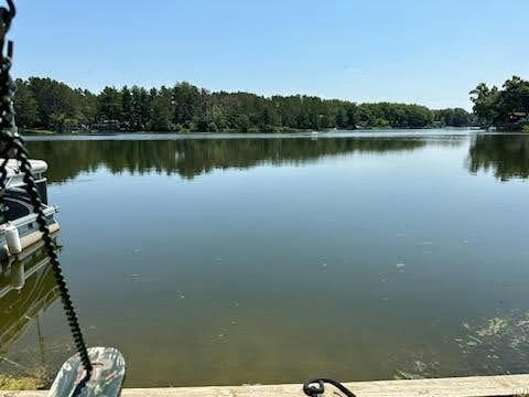 2/55 WOODHAVEN LAKES, SUBLETTE, IL 61367, photo 3 of 38