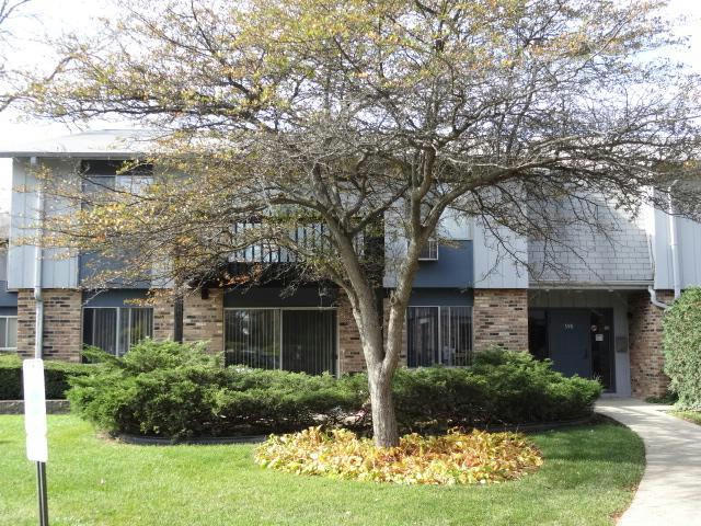 948 E OLD WILLOW RD APT 201, PROSPECT HEIGHTS, IL 60070, photo 1 of 25