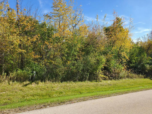 LOT 8 ORCHARD BLUFF LANE, WADSWORTH, IL 60083 - Image 1