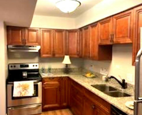 10735 5TH AVE CUT OFF APT 103, COUNTRYSIDE, IL 60525, photo 2 of 7