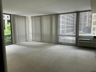 880 N LAKE SHORE DR APT 3H, CHICAGO, IL 60611, photo 3 of 6