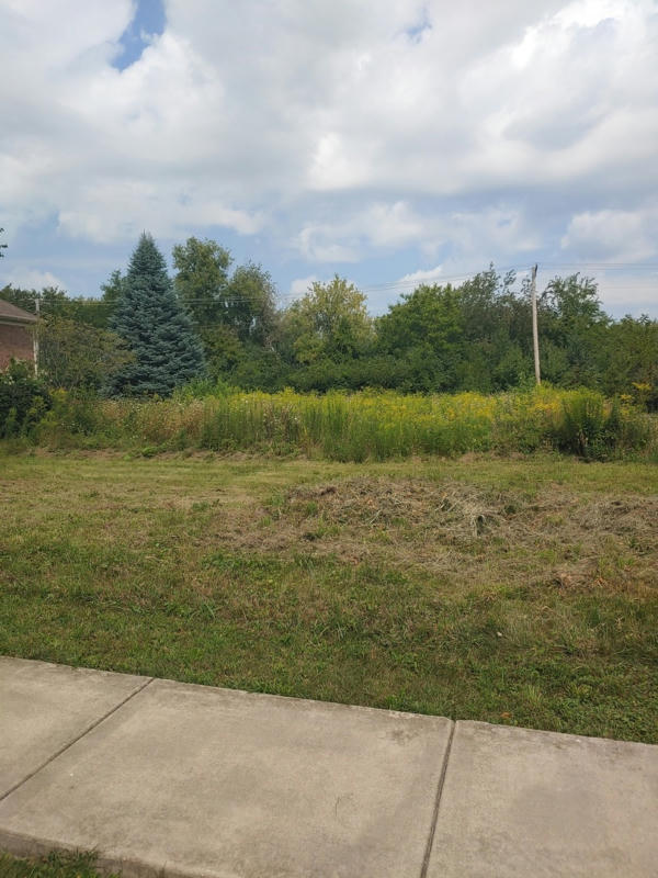 LOT 9 CHATEAU BLUFF LANE, WEST DUNDEE, IL 60118, photo 1 of 2