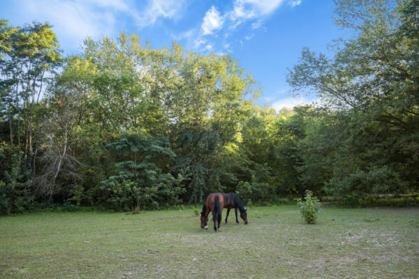 LOT 33A W HAPPY HOLLOW ROAD, JANESVILLE, WI 53546 - Image 1