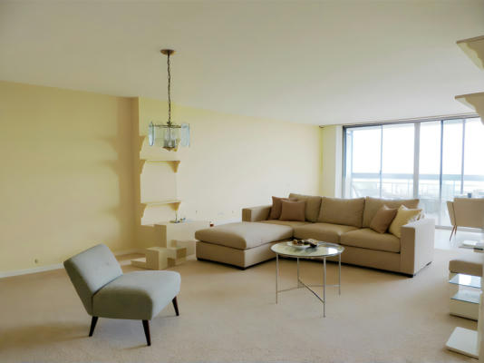 5201 S CORNELL AVE APT 15D, CHICAGO, IL 60615, photo 3 of 15